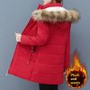 Womens Mid-Length Padded Cotton-Padded Jacket